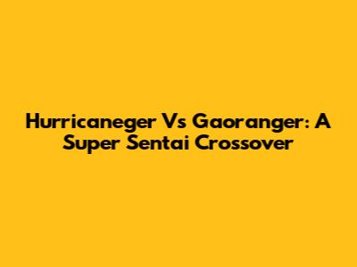Hurricaneger Vs Gaoranger: A Super Sentai Crossover