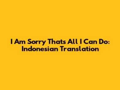 I Am Sorry That's All I Can Do: Indonesian Translation