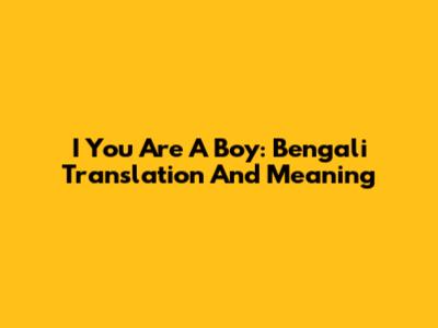 I You Are A Boy: Bengali Translation And Meaning