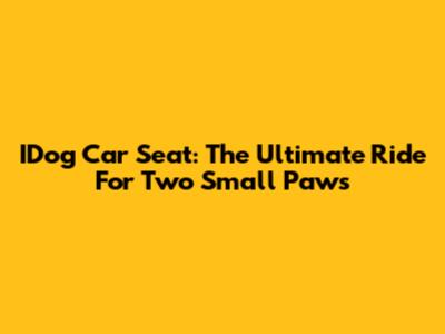 IDog Car Seat: The Ultimate Ride For Two Small Paws