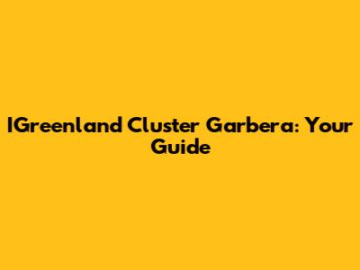 IGreenland Cluster Garbera: Your Guide