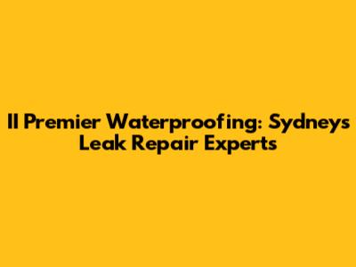 II Premier Waterproofing: Sydney's Leak Repair Experts