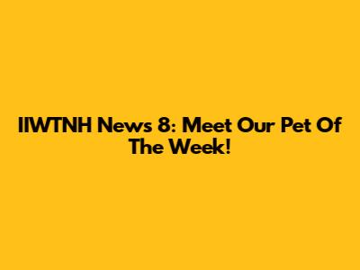 IIWTNH News 8: Meet Our Pet Of The Week!