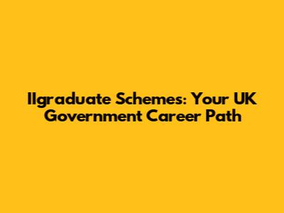 IIgraduate Schemes: Your UK Government Career Path