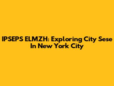 IPSEPS ELMZH: Exploring City Sese In New York City