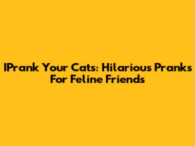 IPrank Your Cats: Hilarious Pranks For Feline Friends