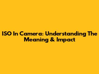 ISO In Camera: Understanding The Meaning & Impact