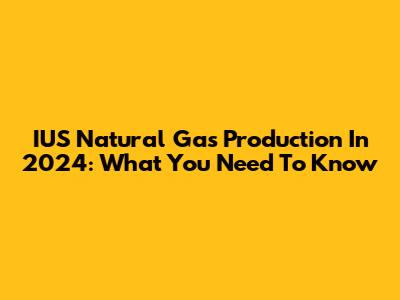 IUS Natural Gas Production In 2024: What You Need To Know