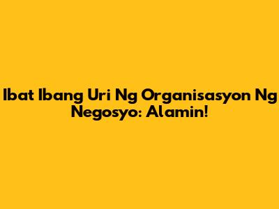 Iba't Ibang Uri Ng Organisasyon Ng Negosyo: Alamin!