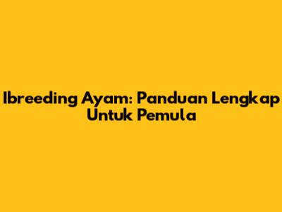 Ibreeding Ayam: Panduan Lengkap Untuk Pemula
