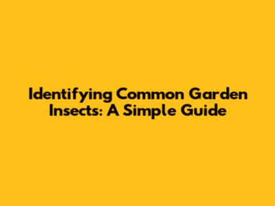Identifying Common Garden Insects: A Simple Guide