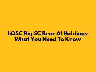 IiOSC Big SC Bear AI Holdings: What You Need To Know