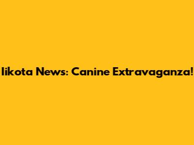 Iikota News: Canine Extravaganza!