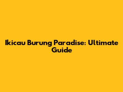 Ikicau Burung Paradise: Ultimate Guide