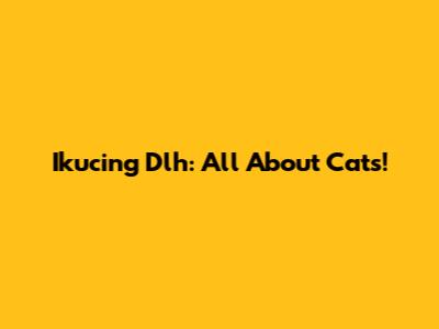 Ikucing Dlh: All About Cats!