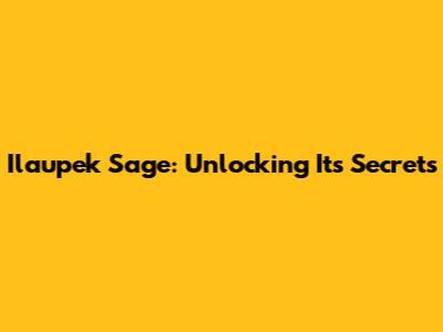 Ilaupek Sage: Unlocking Its Secrets
