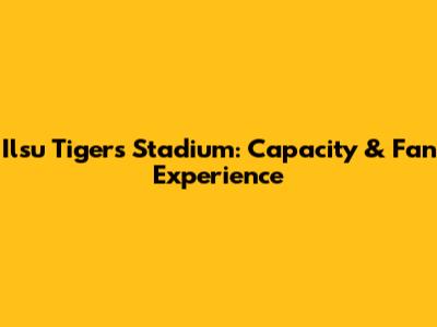 Ilsu Tigers Stadium: Capacity & Fan Experience