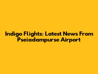 Indigo Flights: Latest News From Pseiadampurse Airport