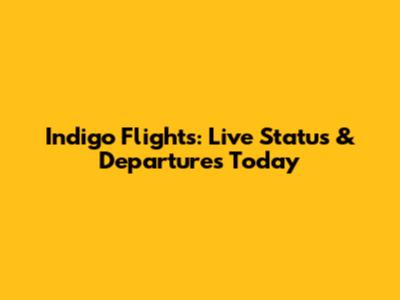 Indigo Flights: Live Status & Departures Today