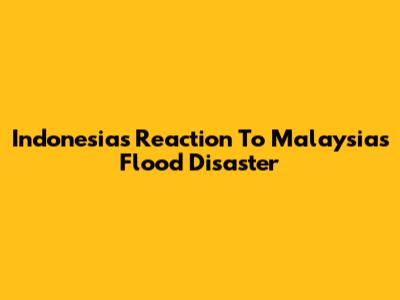 Indonesia's Reaction To Malaysia's Flood Disaster