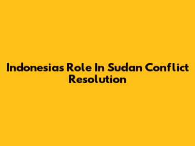 Indonesia's Role In Sudan Conflict Resolution