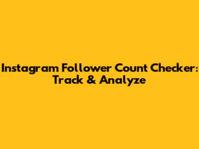 Instagram Follower Count Checker: Track & Analyze
