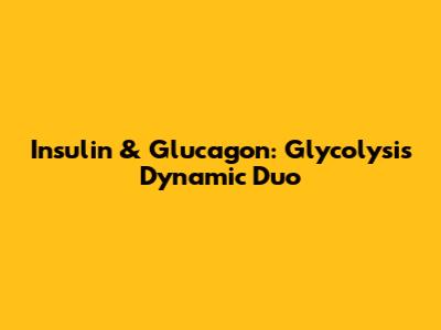Insulin & Glucagon: Glycolysis' Dynamic Duo