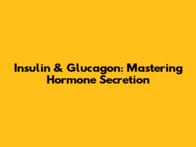 Insulin & Glucagon: Mastering Hormone Secretion