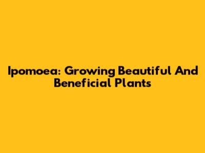 Ipomoea: Growing Beautiful And Beneficial Plants
