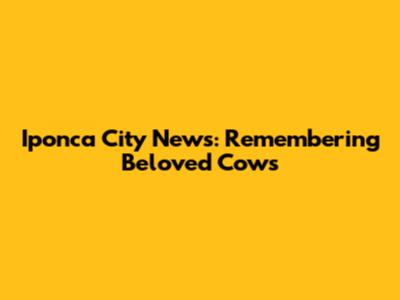 Iponca City News: Remembering Beloved Cows