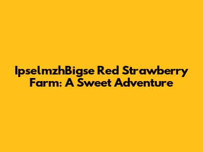 IpselmzhBigse Red Strawberry Farm: A Sweet Adventure