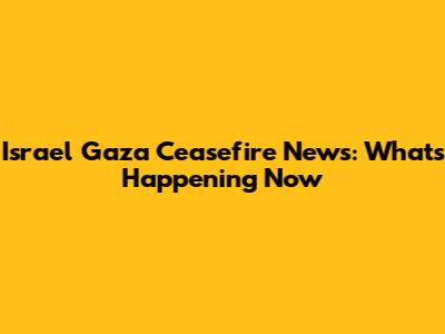 Israel Gaza Ceasefire News: What's Happening Now