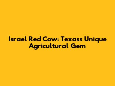 Israel Red Cow: Texas's Unique Agricultural Gem