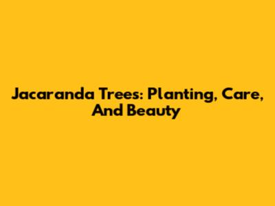 Jacaranda Trees: Planting, Care, And Beauty