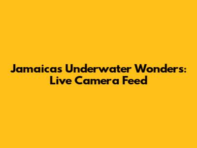 Jamaica's Underwater Wonders: Live Camera Feed