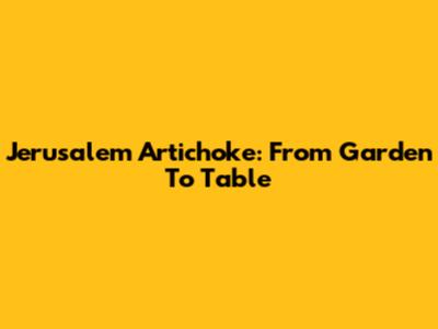 Jerusalem Artichoke: From Garden To Table