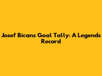 Josef Bican's Goal Tally: A Legend's Record