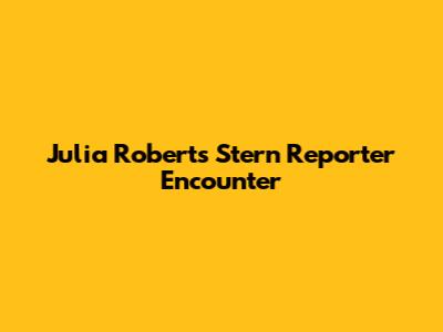 Julia Roberts' Stern Reporter Encounter