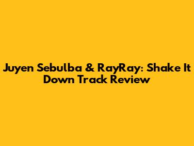 Juyen Sebulba & RayRay: Shake It Down Track Review