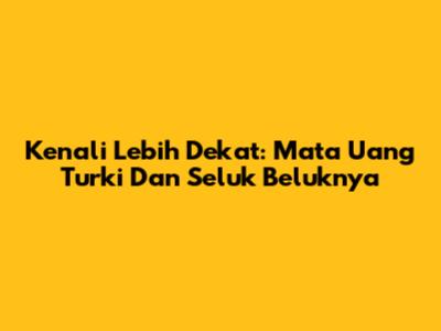 Kenali Lebih Dekat: Mata Uang Turki Dan Seluk Beluknya