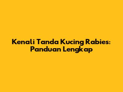 Kenali Tanda Kucing Rabies: Panduan Lengkap