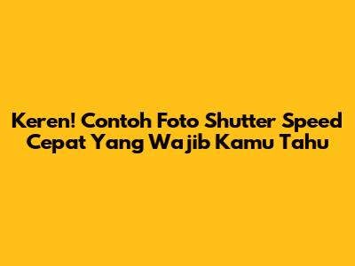 Keren! Contoh Foto Shutter Speed Cepat Yang Wajib Kamu Tahu