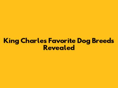 King Charles' Favorite Dog Breeds Revealed