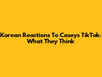 Korean Reactions To Casey's TikTok: What They Think