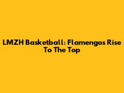 LMZH Basketball: Flamengo's Rise To The Top