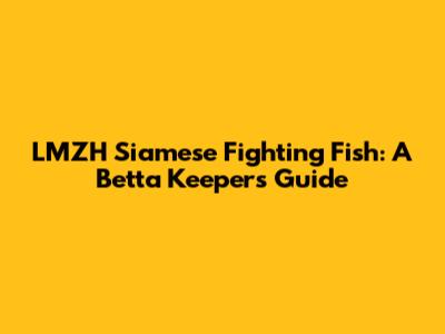 LMZH Siamese Fighting Fish: A Betta Keeper's Guide
