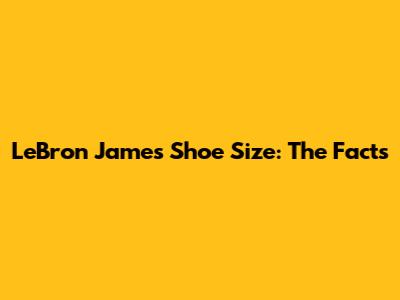 LeBron James' Shoe Size: The Facts
