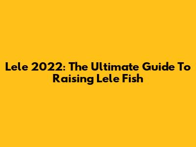 Lele 2022: The Ultimate Guide To Raising Lele Fish
