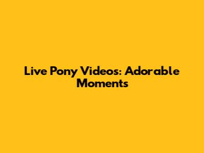Live Pony Videos: Adorable Moments