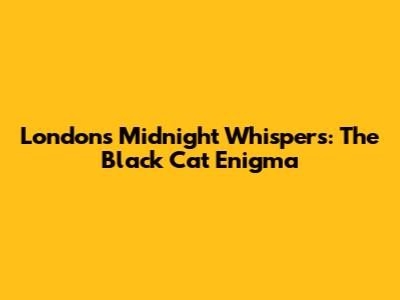 London's Midnight Whispers: The Black Cat Enigma